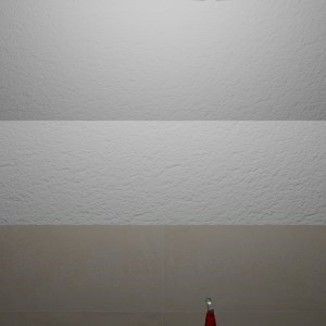 Reptišova_toaleta-01