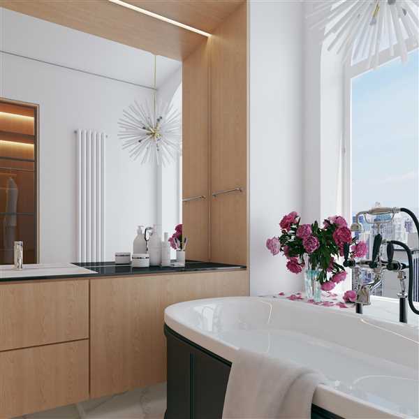 Bathroom design VIZ-5