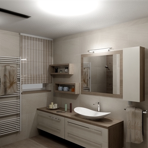 big bathroom