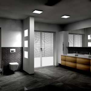 LAKE & VISUAL DESIGN