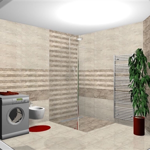 DREIRE BONE 28X85