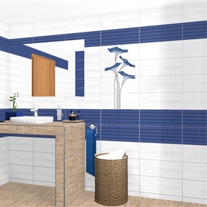 ENJOY BLUE 20X50