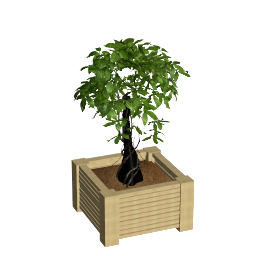 Wooden tree pot A