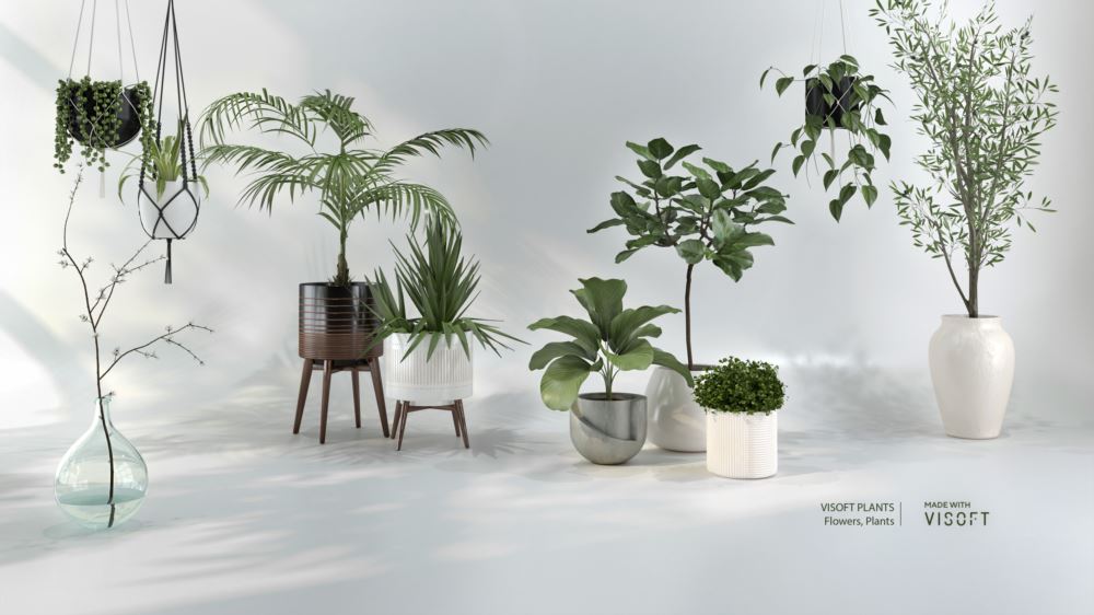 ViSoftPlants 